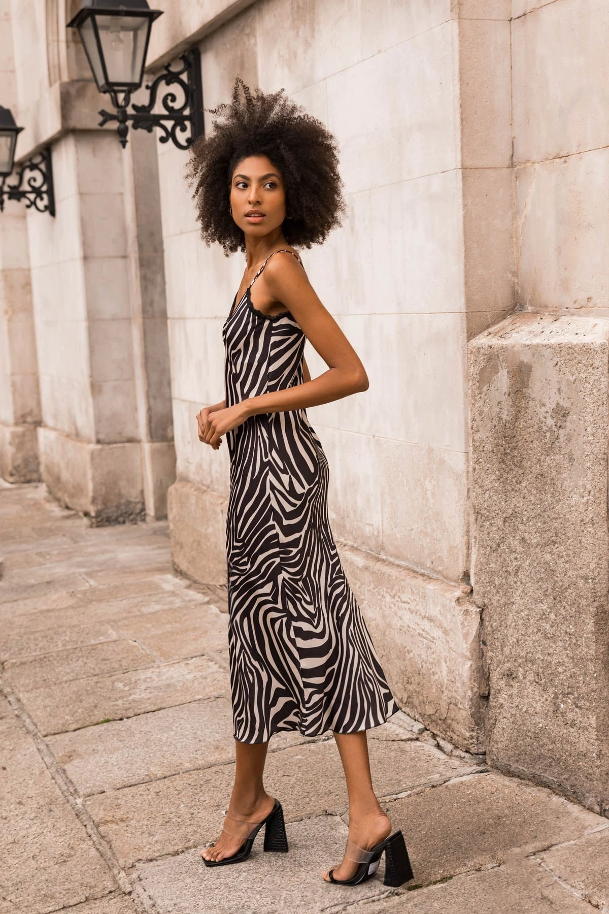 Valentina Midi Dress In Zebra Print 4 Valentina Midi Dress In Zebra Print - Image 2