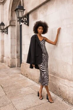 Valentina Midi Dress In Zebra Print 20 Valentina Midi Dress In Zebra Print -Moda Ulla Shop carraig donn valentina midi dress in zebra print 866797